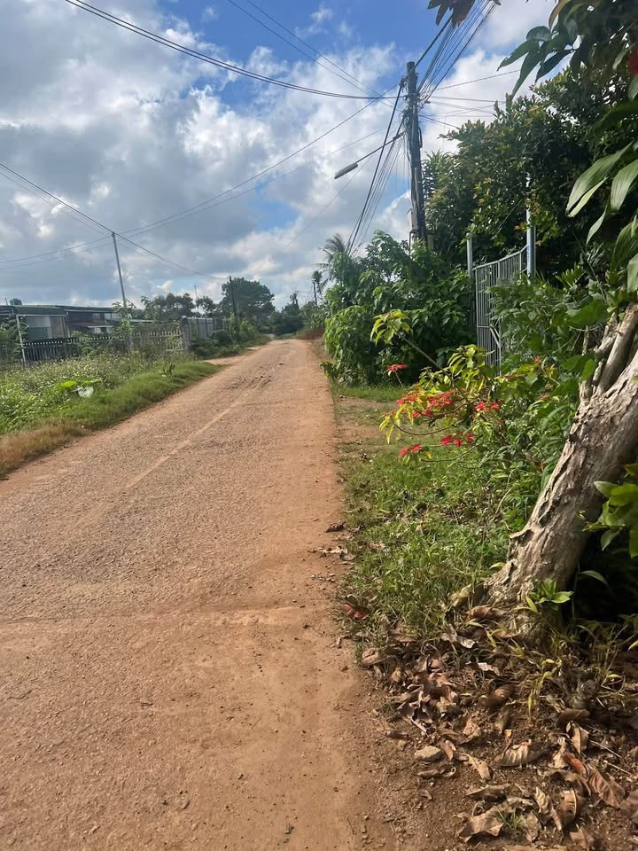 Đất nền Bảo Lộc 739.85m² giá chỉ 2.6 tỷ - Cơ hội đầu tư tuyệt vời!