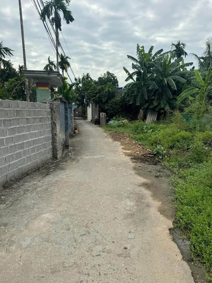 Đất nền Xích Thổ An Hồng 60,3m² giá 1,45 tỷ - Đầu tư sinh lời ngay!