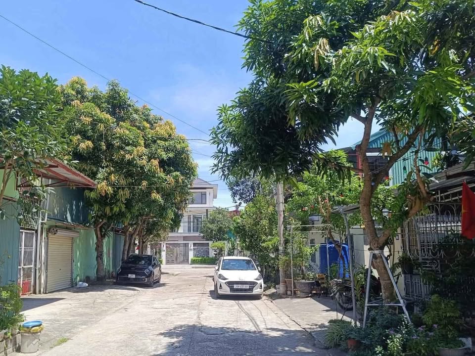 Lô đất ngõ đường Nguyễn Bặc, Ninh Khánh 114m² giá 30 tỷ - Giá cực rẻ, diện tích lớn!