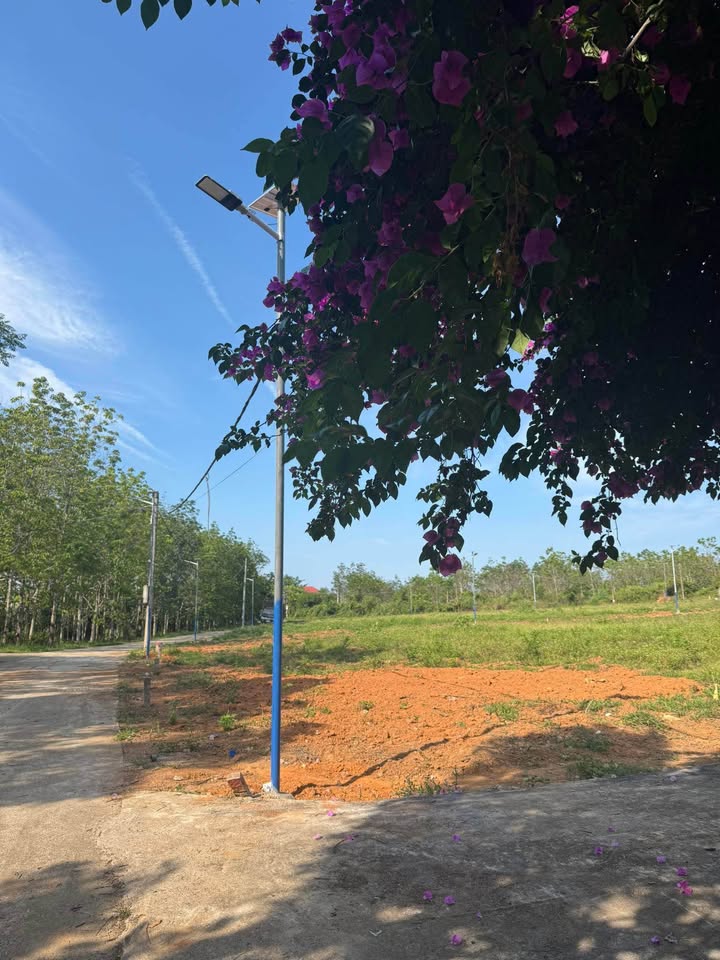 Đất nền dự án Nông Trường Việt Trung, Bố Trạch, Quảng Bình 120m² chỉ từ 300 triệu - Sổ đỏ chính chủ!