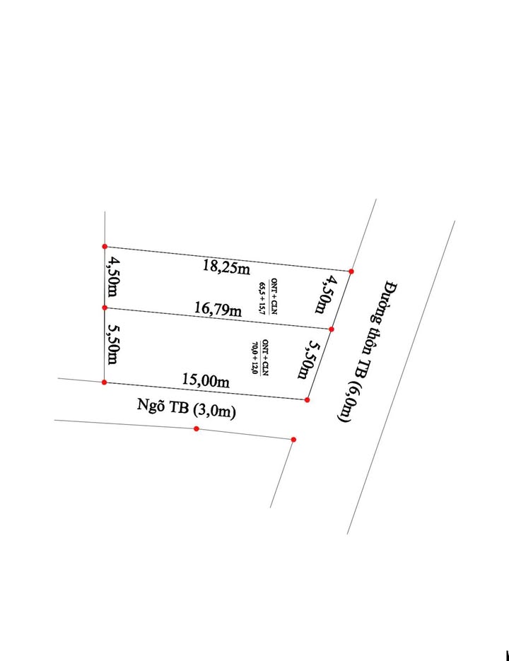 Đất nền thôn Hà Đới, xã Tiên Thanh, Tiên Lãng 80m² giá chỉ 1 tỷ - Tiềm năng đầu tư cao!