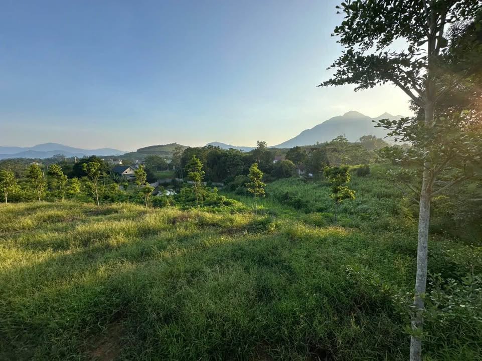 Đất nông nghiệp xã Yên Bài, Ba Vì 9000m² - Sổ đỏ chính chủ, giá thỏa thuận!