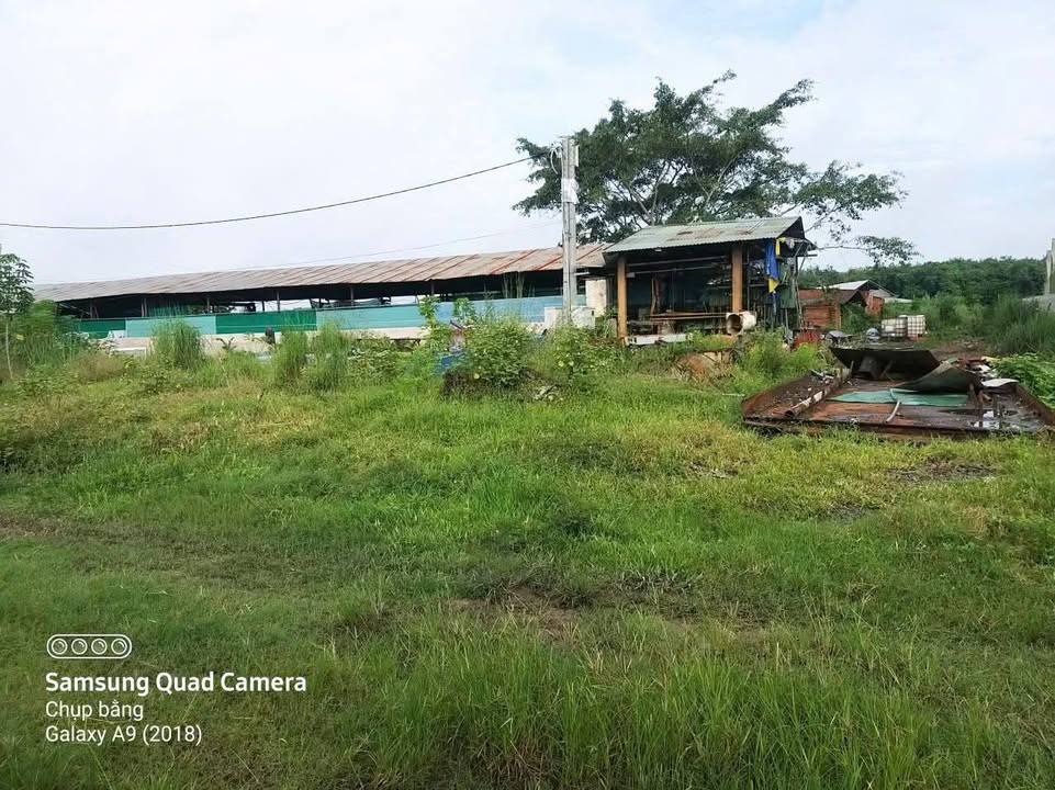 Farm An Nhơn Tây, Củ Chi 9955m² giá 27 tỷ - Cần bán gấp chính chủ!