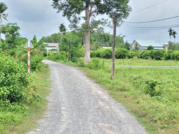 Đất thổ cư 140m² tại ấp Cây Da, Gò Dầu chỉ 360 triệu - Đầu tư lâu dài sinh lời!