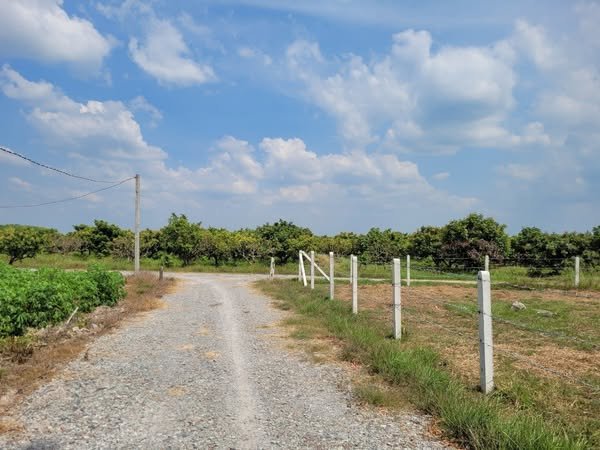 Đất thổ cư 150m² tại Lộc Tân, Dương Minh Châu - Giá chỉ 300 triệu!