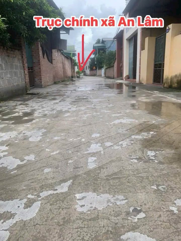 Đất nền An Lâm, Nam Sách 133.5m² giá thỏa thuận - Đầu tư sinh lời ngay!