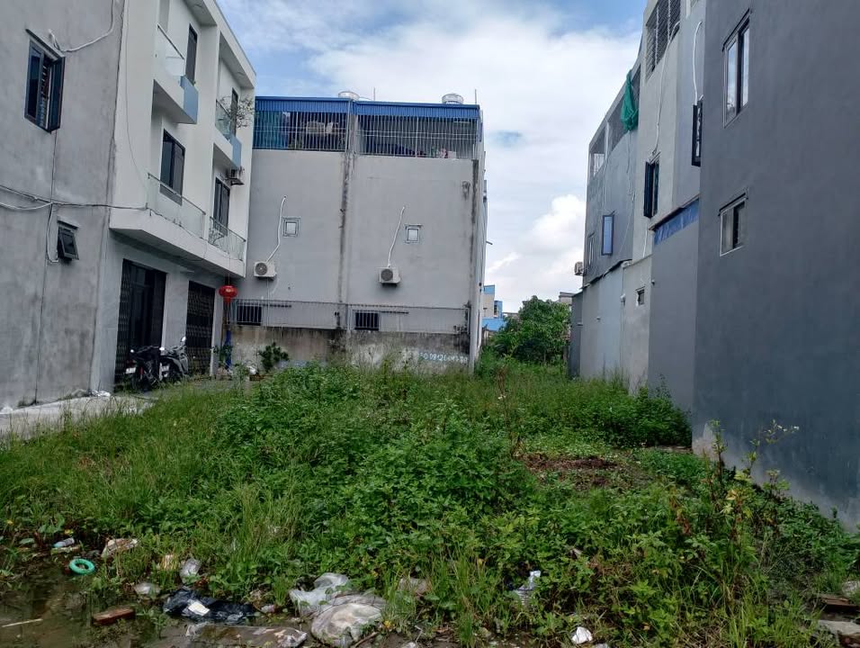 Đất nền tại ngõ 131 Tô Hiến Thành, 76m² - Cơ hội đầu tư tuyệt vời!