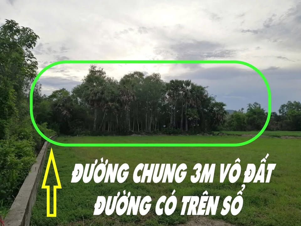 Đất mặt tiền xã Văn Giáo 878m² giá 350 triệu - Sổ hồng chính chủ