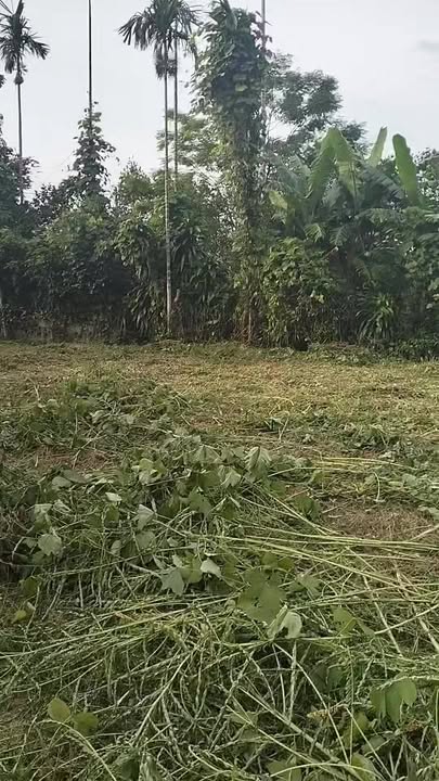 Đất mặt tiền 23m tại phường Thống Nhất, Hòa Bình - Giá 9 tỷ, sổ đỏ chính chủ!