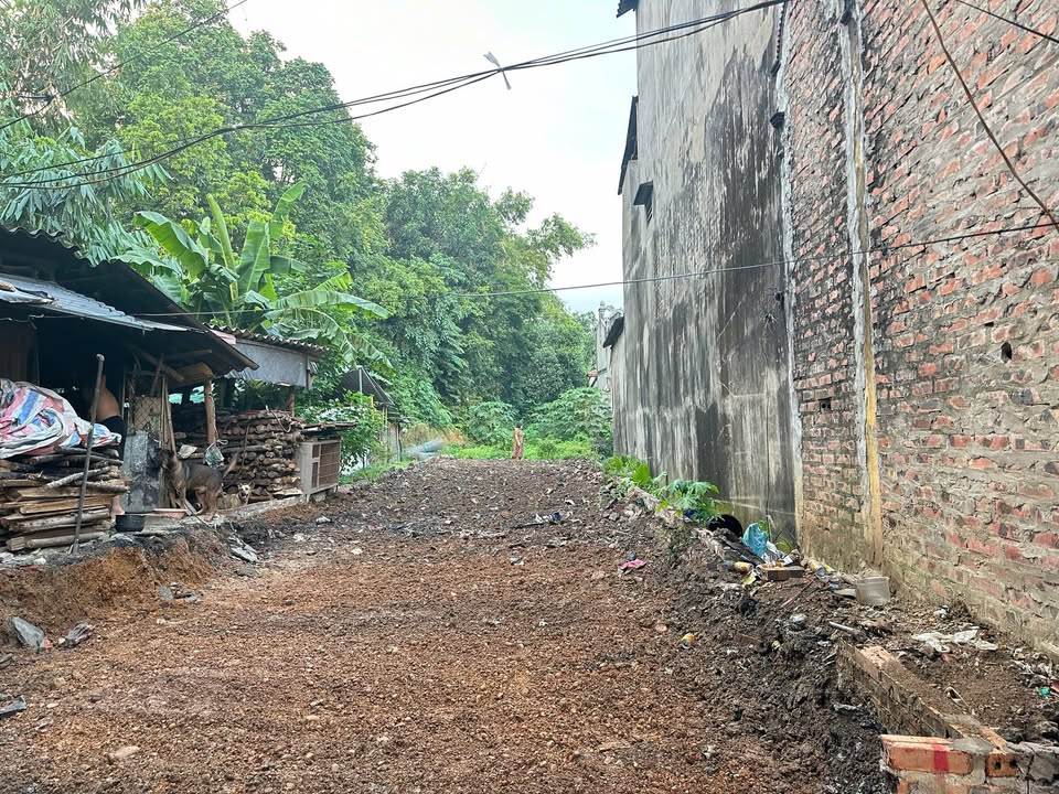 Đất nền KDC Phú Liêm, 96m² giá 850 triệu - Cơ hội đầu tư lý tưởng!