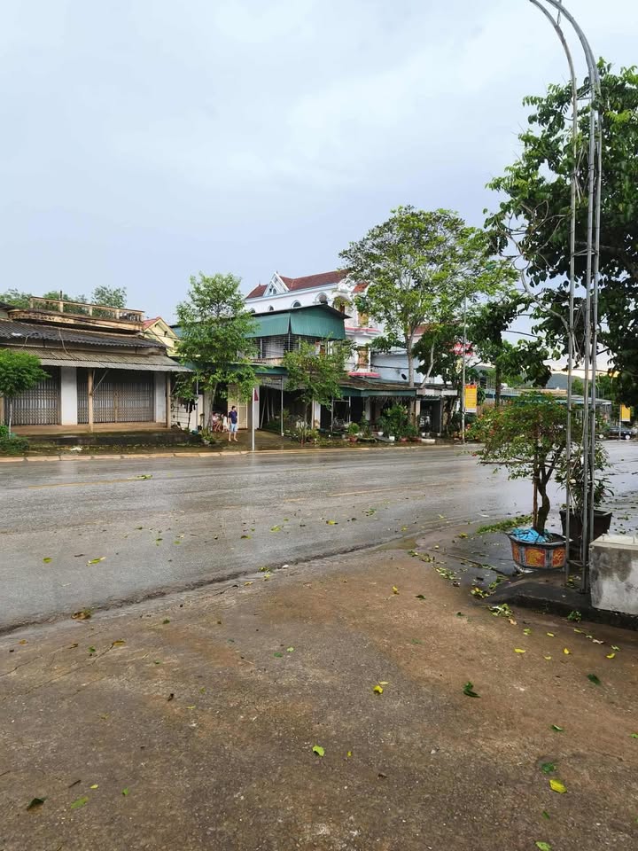 Đất thổ cư thôn Mơ, xã Xuân Bình, 130m² - Giá thỏa thuận, chính chủ bán gấp!