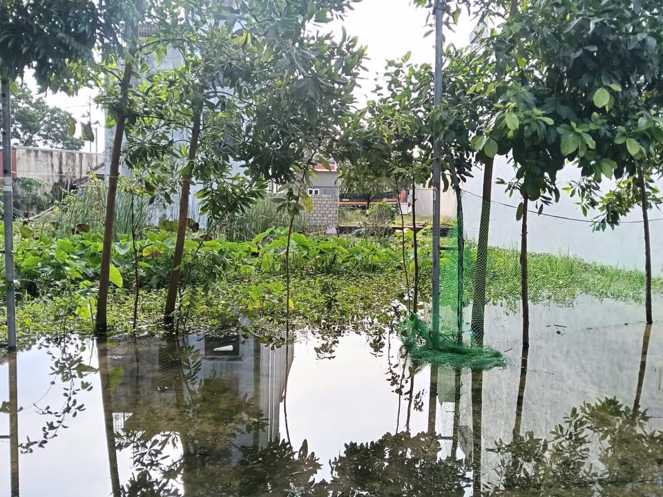 Đất nền Lưu Vệ, Quảng Xương 105m² giá 1 tỷ - Vị trí đắc địa gần chợ!