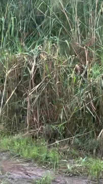 Đất Vĩnh Lộc Thư Phú 60m² giá 2.5 tỷ - Tiềm năng đầu tư tuyệt vời!