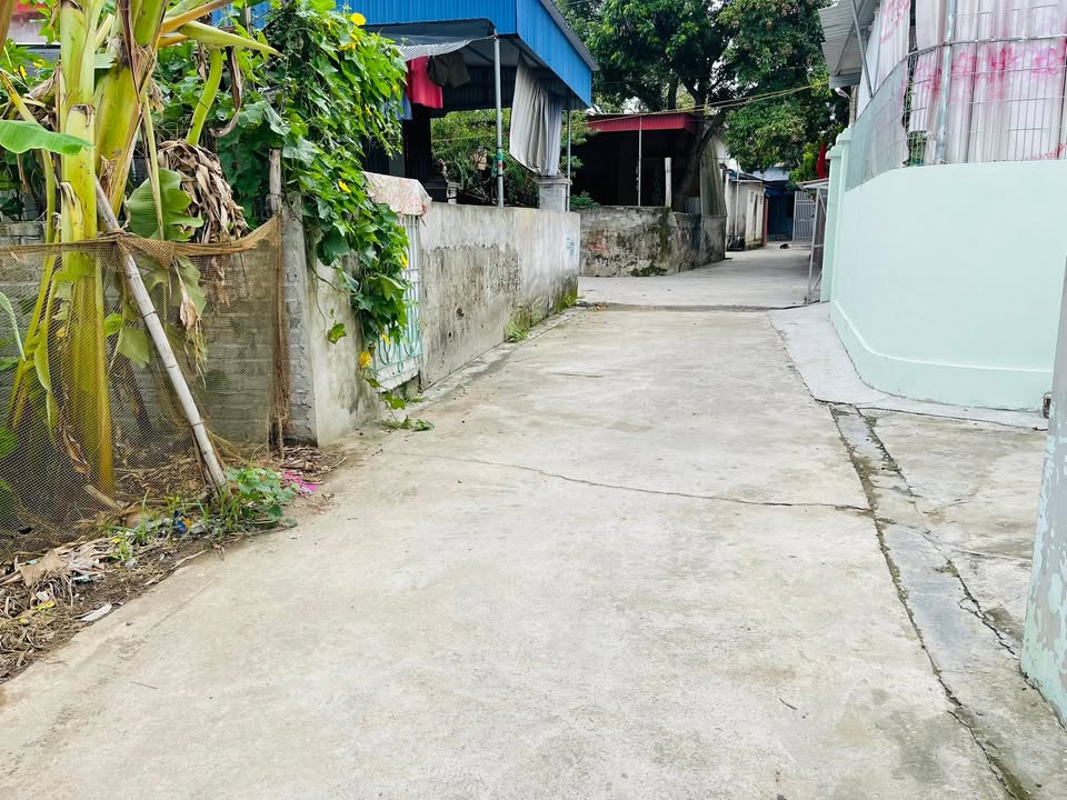 Đất nền Ngũ Hùng Thanh Miện 105m² giá chỉ từ 7xx triệu - Cơ hội đầu tư hấp dẫn!