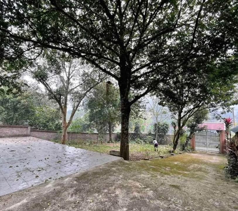 Đất Lâm Sơn Lương Sơn 512m² giá 3 tỷ - Sổ đỏ chính chủ, đầu tư sinh lời!