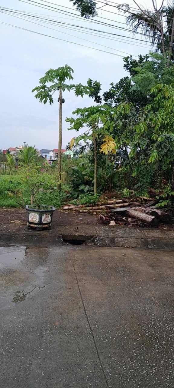 Đất thổ cư Hoằng Hóa 180m² giá 1.3 tỷ - Cơ hội đầu tư hấp dẫn!