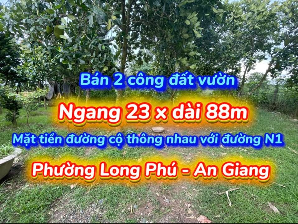 Đất vườn 2 công mặt tiền đường cộ phường Long Phú, Tân Châu - Đầu tư sinh lời hấp dẫn!
