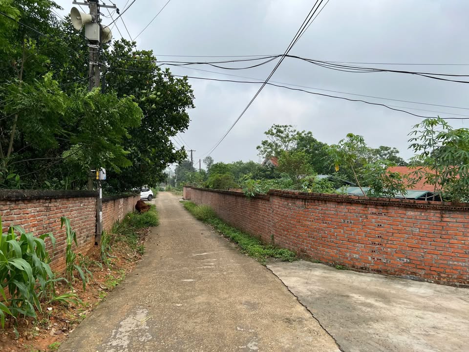 Đất nền Tôn Đức Thắng Việt Trì 1400m² giá 8.4 tỷ - Cơ hội đầu tư không thể bỏ qua!