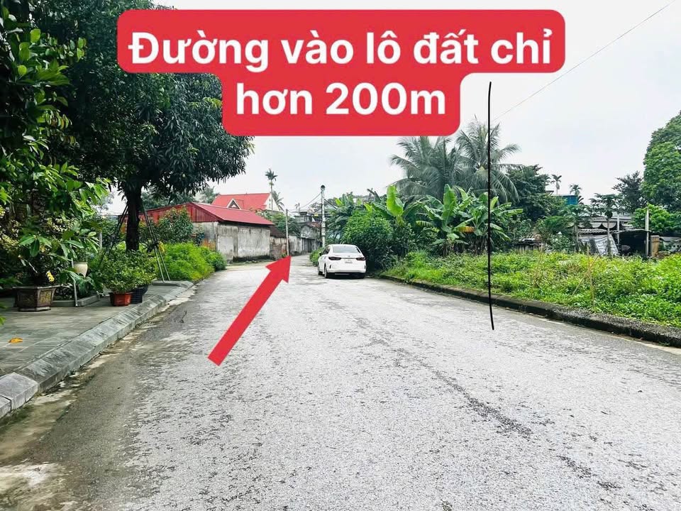 Lô đất Phan Đình Phùng 100m² giá 1.3 tỷ - Đầu tư sinh lời ngay!