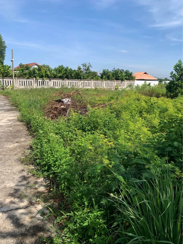 Đất nền thôn La Châu, Hòa Tiến 125m² giá chỉ 1 tỷ - Cơ hội đầu tư tuyệt vời!