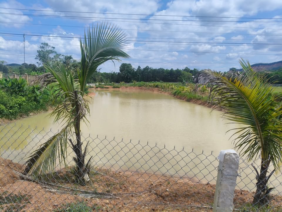 Đất nền 4000m² xã Phúc Đường, Như Thanh - Sổ đỏ chính chủ, giá thỏa thuận!