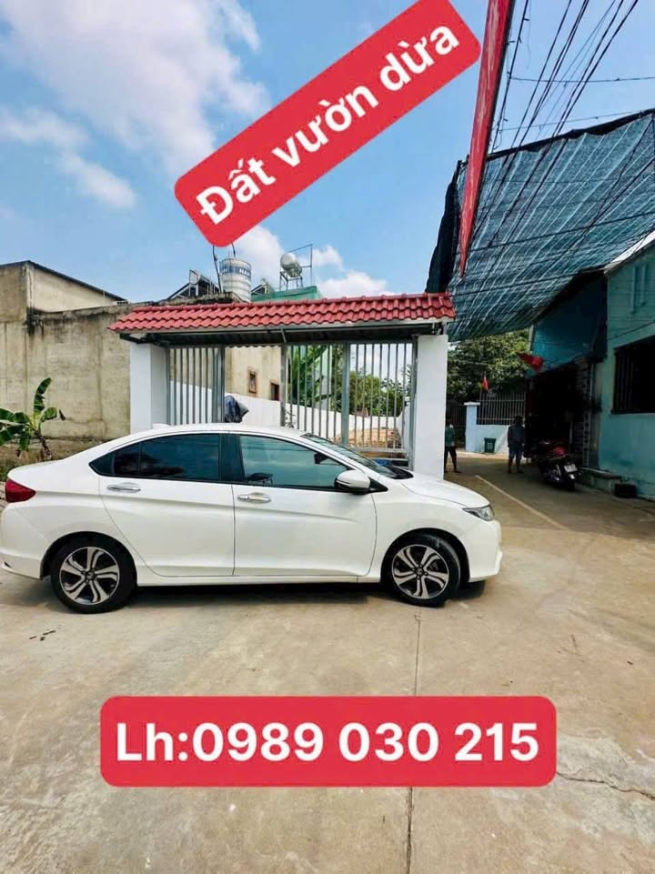 Đất vườn dừa 280m² tại Phường Phước Tân, Biên Hòa - Giá 2.85 tỷ, sổ đỏ chính chủ!