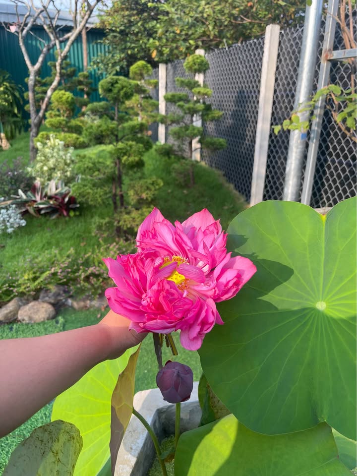 Đất nền Thanh Mỹ, Phù Mỹ 130m² giá 1 tỷ - Đường ô tô thông thoáng!