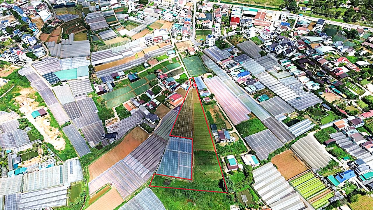 Đất nông nghiệp Mai Anh Đào, Đà Lạt 4580m² giá 82.44 tỷ - Cơ hội đầu tư hấp dẫn!