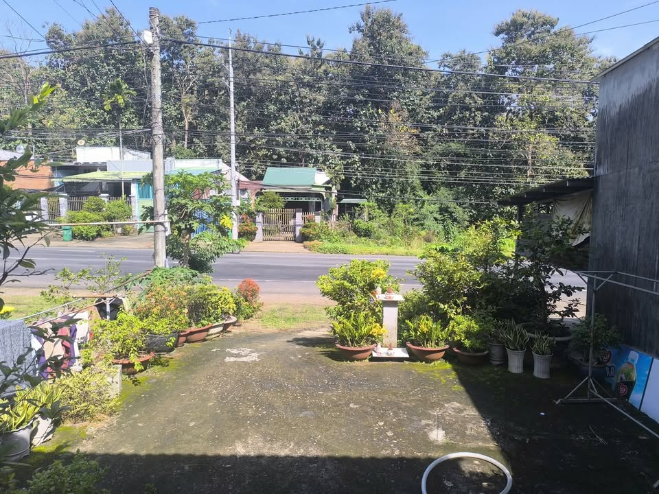 Nhà mặt tiền Quốc lộ 20, Tân Phú, 228.6m² giá 1.6 tỷ - Bán gấp, pháp lý rõ ràng!