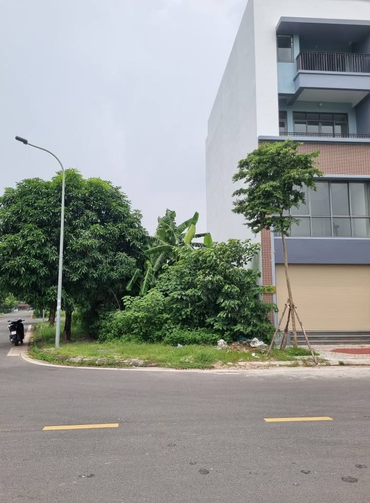 Lô góc 101m² Khu đô thị TMS Phúc Yên giá 4 tỷ - Cơ hội vàng cho nhà đầu tư!