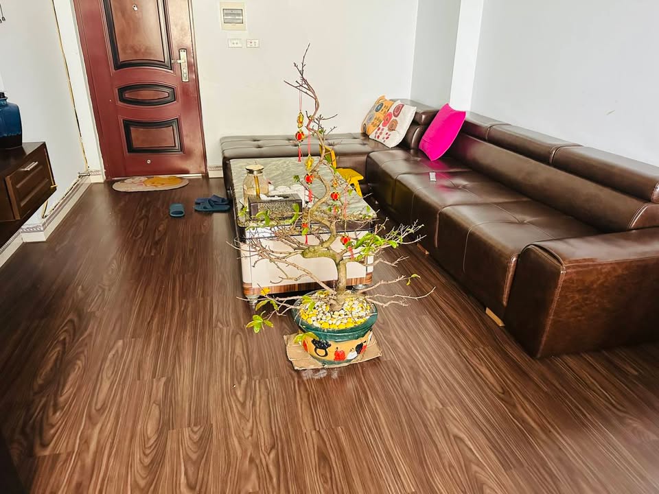 Căn hộ chung cư Tân Phát Vinh 75m² giá 3 tỷ - Chính chủ bán gấp!