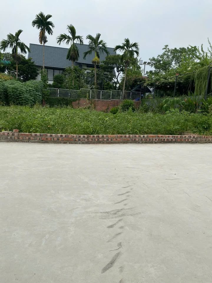 Đất nền Thắng Trí, Minh Trí, Sóc Sơn 105m² - Tiềm năng tăng giá mạnh!