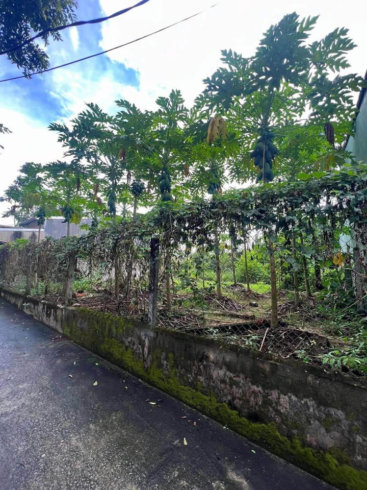 Đất nền Thủy Bằng, TP Huế 200m² giá 1 tỷ - Đầu tư sinh lời tuyệt vời!