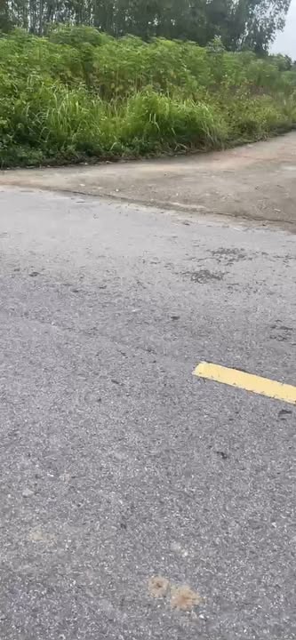 Đất thổ cư K4 Thanh Đình 300m² giá 3.2 tỷ - Hai mặt tiền đắc địa!