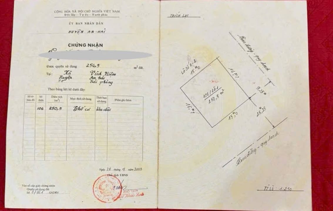 Đất mặt đường Bùi Viện, Hải Phòng 250m² giá 6 tỷ - Mặt tiền rộng 15m, vị trí đắc địa!