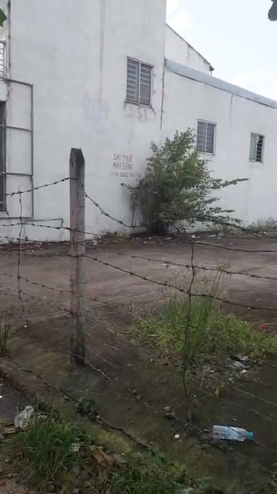 Đất nền chính chủ 332m² tại Lái Thiêu, Bình Dương - Khu vực đông đúc, tiện ích đầy đủ!