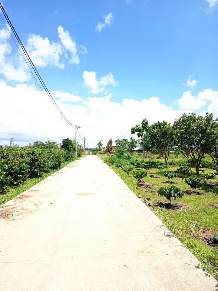 Đất thổ cư Lộc Châu Bảo Lộc 6000m² giá 1.3 tỷ - Đầu tư lý tưởng!