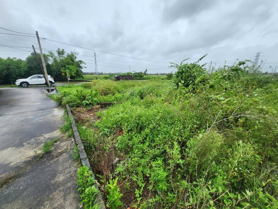 Đất nền phường Trường Thi, Vụ Bản 113m² chỉ 700 triệu - Đầu tư sinh lời ngay!