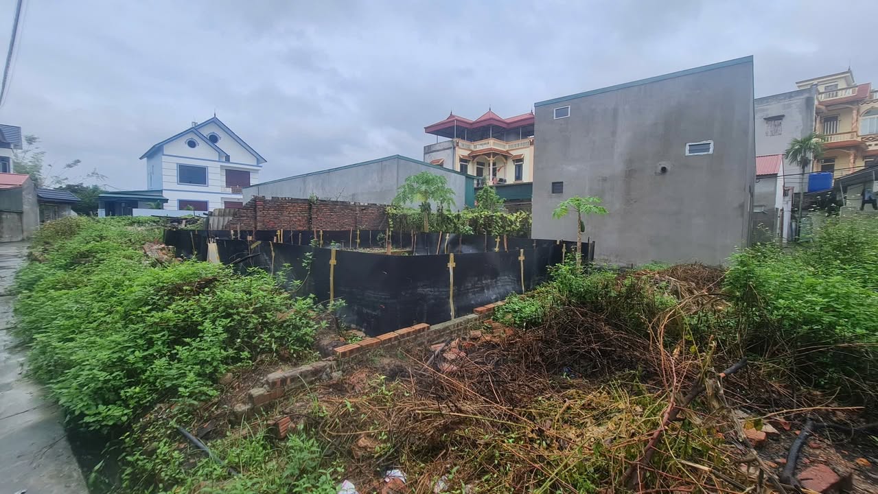 Đất nền An Bình, Thuận Thành 63m² chỉ 1.3 tỷ - Cơ hội đầu tư tuyệt vời!