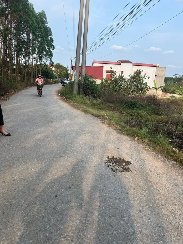 Đất nền Lan Mẫu Lục Nam 160m² giá chỉ 1.3 tỷ - Cơ hội vàng đầu tư!