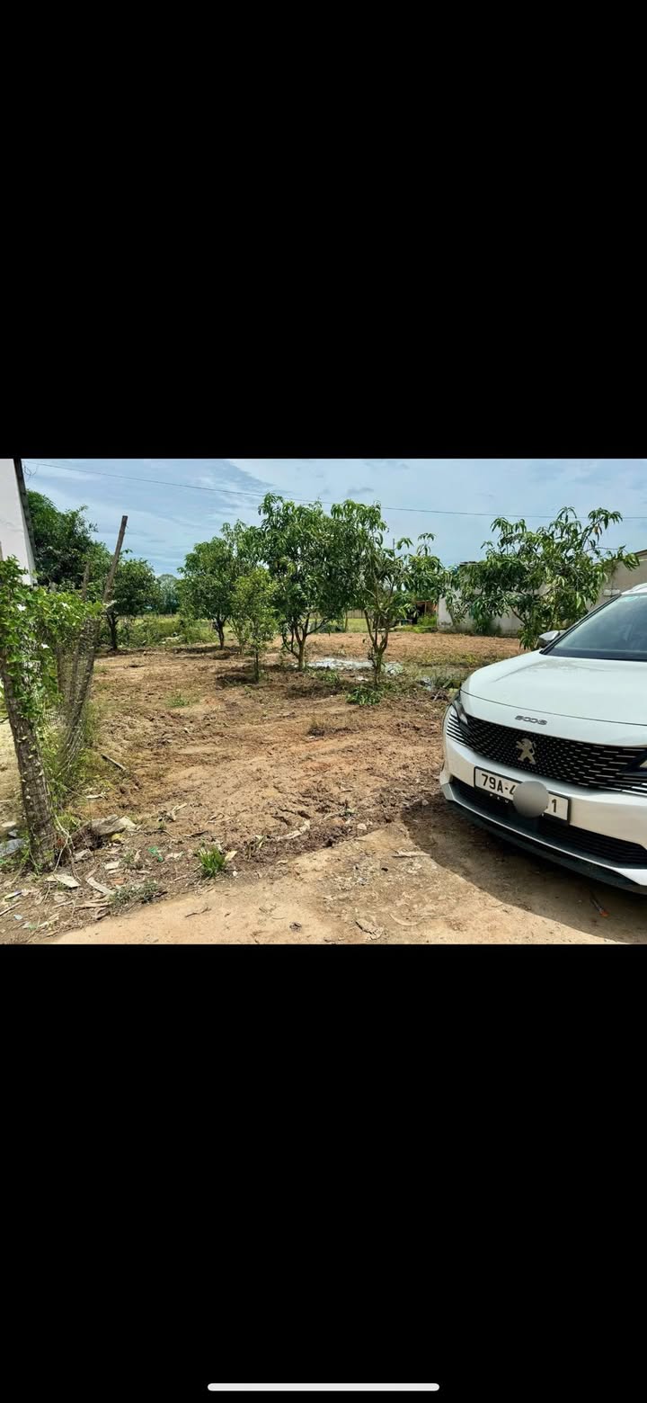 Đất nền Suối Dầu Cam Lâm 147m² giá 800 triệu - Vị trí đẹp, view đồng lúa thoáng mát!