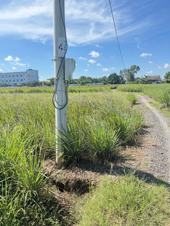 Đất vườn nghỉ dưỡng Phú Thạnh 1200m² giá 450 triệu - Sổ hồng chính chủ