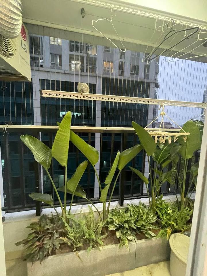 Nhà phố Thái Hà 40m² giá 15.9 tỷ - Ô tô vào nhà, sổ đỏ chính chủ!