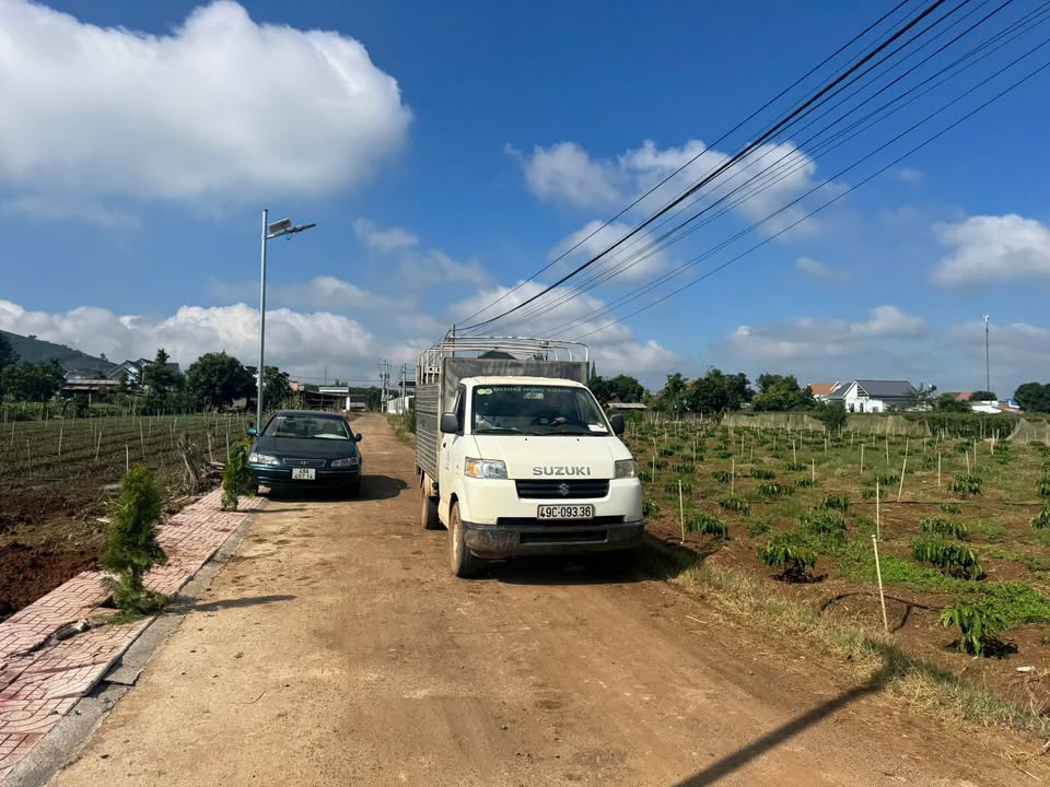 Đất nền dự án Tân Phú, Đức Trọng 110m² giá 785 triệu - Sổ hồng riêng, công chứng ngay!