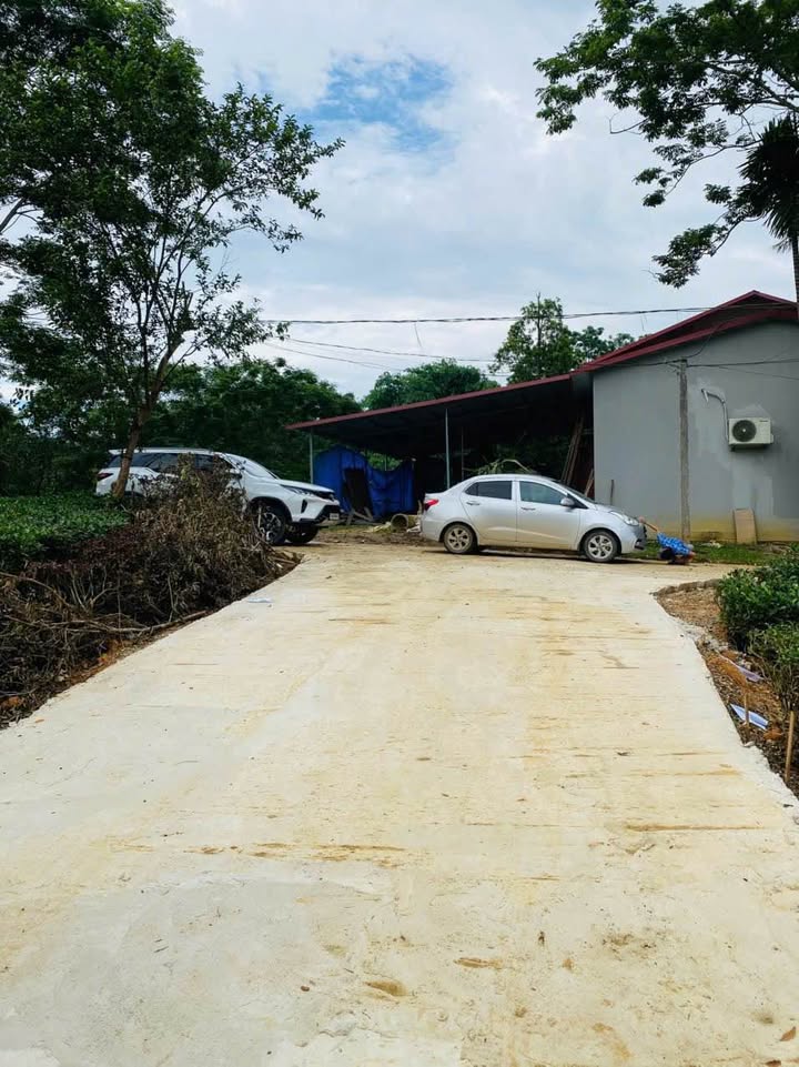 Đất nền chính chủ tại Tân Phú, Tân Sơn, Phú Thọ - 530m² giá 700 triệu - Cơ hội đầu tư tuyệt vời!