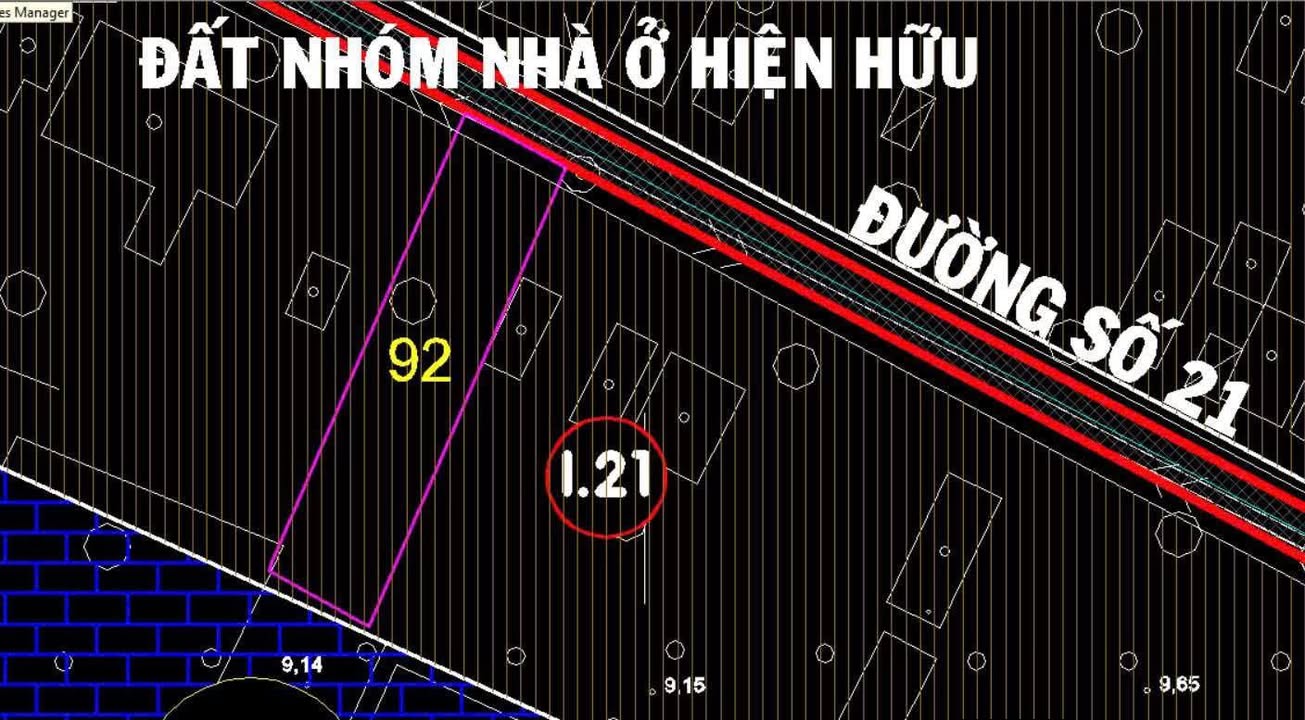 Bán Đất Đường 21, Xã Tân Thông Hội, Củ Chi - 981m² Chỉ 12 tỷ, Xây Dựng Tự Do!