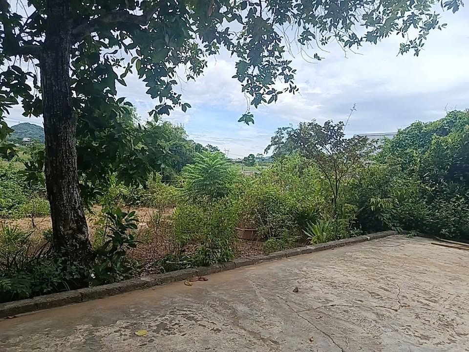 Đất thổ cư 220m² tại Phú Mãn, Quốc Oai, 4.626 tỷ - Cơ hội vàng đầu tư!