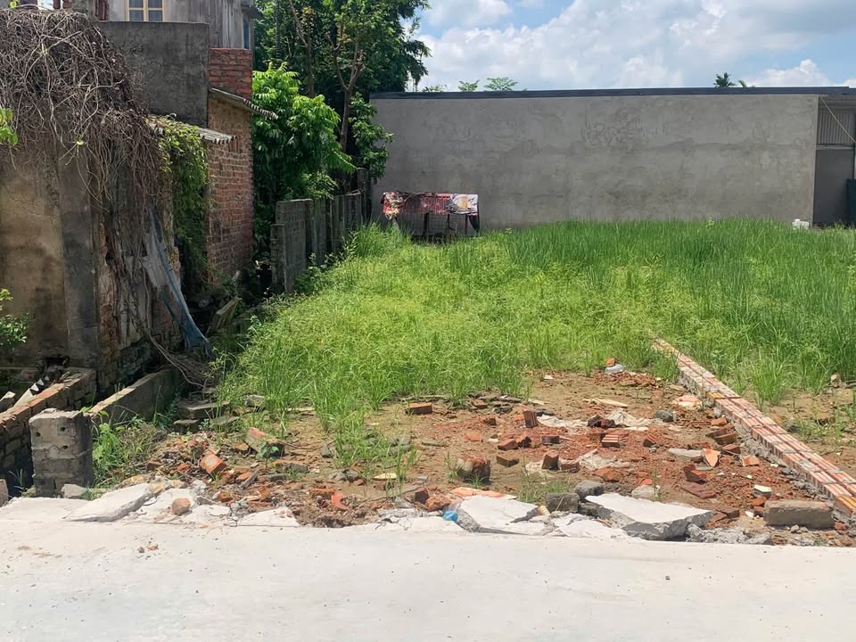 Đất nền Quốc Tuấn, An Dương 50m² giá 1 tỷ - Sổ hồng chính chủ, ô tô đỗ cửa!