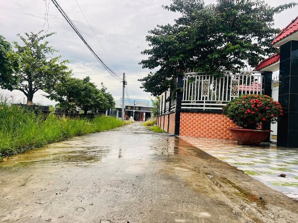 Đất nền mặt tiền đường Xe hơi, xã Mỹ Lộc, diện tích 91.06m² - Giá chỉ 1.1 tỷ, bớt lộc cho khách thiện chí!