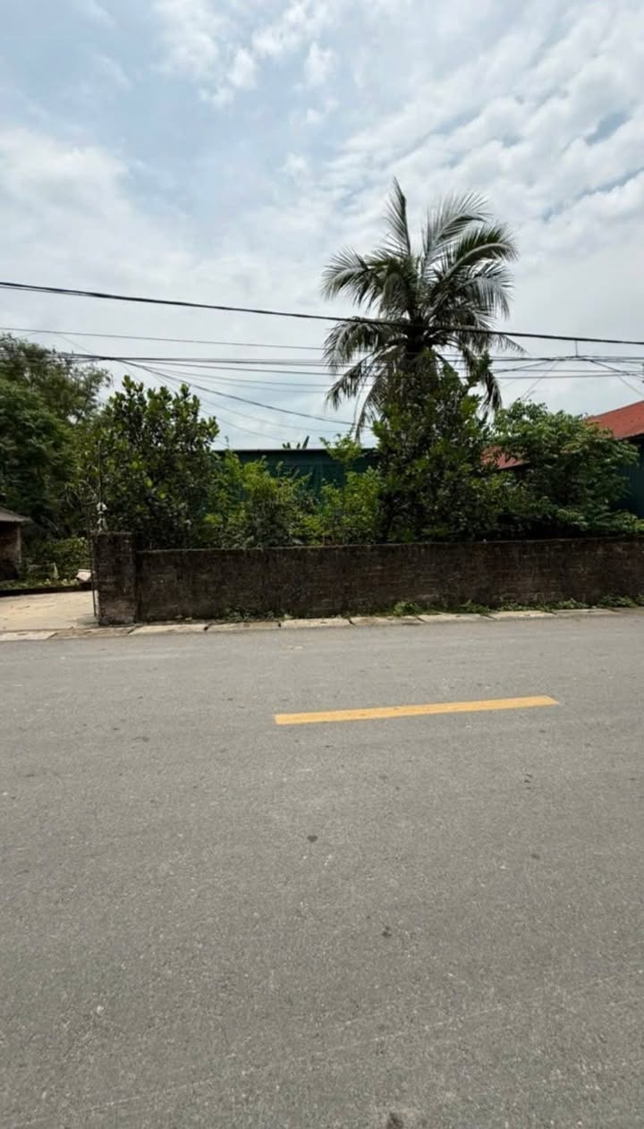 Đất nền kinh doanh đường nhựa Xuân Viên Diễn Thắng 193m² giá 2 tỷ - Đầu tư sinh lời ngay!